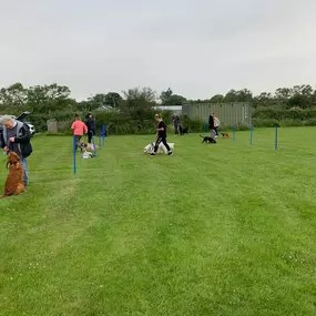 Bild von Four Paws Dog Training