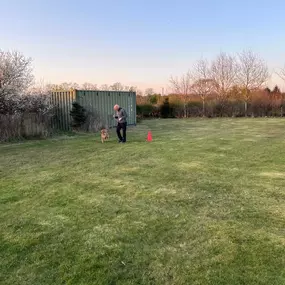 Bild von Four Paws Dog Training