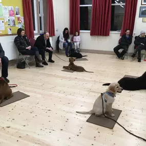 Bild von Four Paws Dog Training