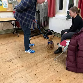 Bild von Four Paws Dog Training