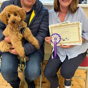 Bild von Four Paws Dog Training