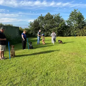 Bild von Four Paws Dog Training