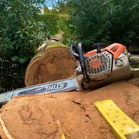 Bild von GTF Tree Care Ltd