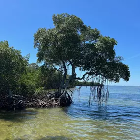 Bild von Moore Fishing Capt Scott Moore