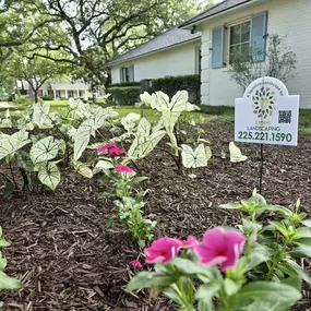 Bild von Lions Landscaping