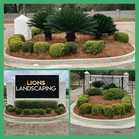 Bild von Lions Landscaping