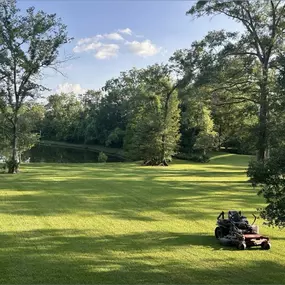 Bild von Lions Landscaping