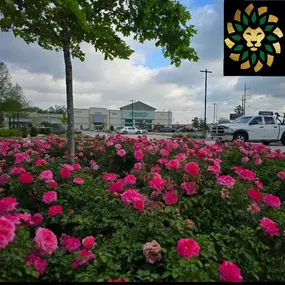 Bild von Lions Landscaping
