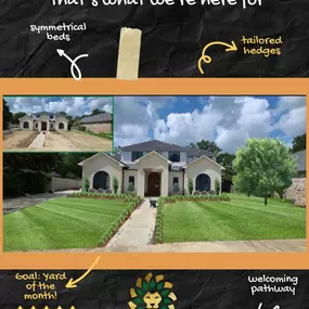 Bild von Lions Landscaping