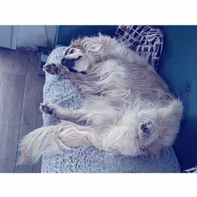 Bild von SORI & Cie