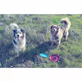 Bild von SORI & Cie