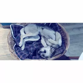Bild von SORI & Cie