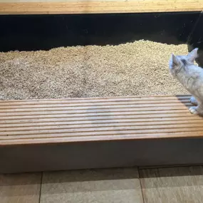 Bild von Katzenklo nach Maß Joachim Seilheimer-Wittmann