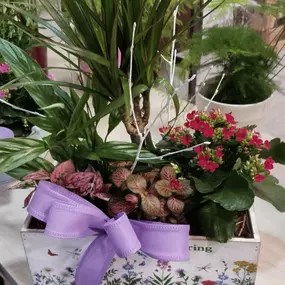 Bild von Las Flores de Carlos
