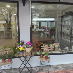 Bild von Las Flores de Carlos