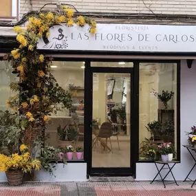Bild von Las Flores de Carlos