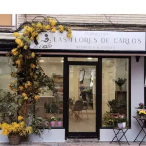 Bild von Las Flores de Carlos