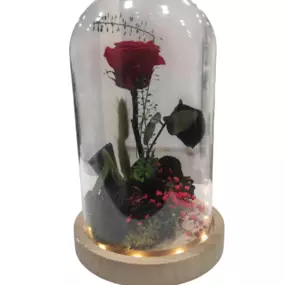 Bild von Las Flores de Carlos