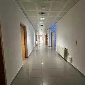 300095312-1-nRdCpk5Tbi1742395261216.jpeg