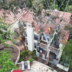 Bild von Greene Tree Care - Trimming, Removal, Residential & Commercial Service