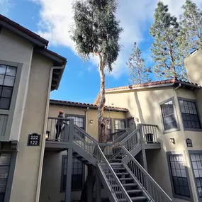 Bild von Greene Tree Care - Trimming, Removal, Residential & Commercial Service