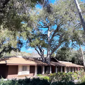 Bild von Greene Tree Care - Trimming, Removal, Residential & Commercial Service