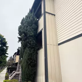 Bild von Greene Tree Care - Trimming, Removal, Residential & Commercial Service