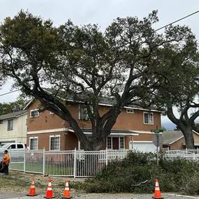 Bild von Greene Tree Care - Trimming, Removal, Residential & Commercial Service