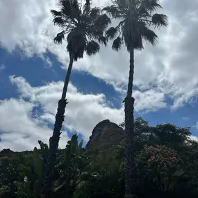 Bild von Greene Tree Care - Trimming, Removal, Residential & Commercial Service