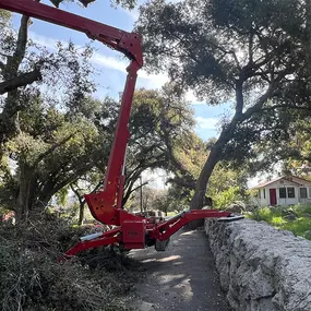 Bild von Greene Tree Care - Trimming, Removal, Residential & Commercial Service