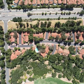 Bild von Greene Tree Care - Trimming, Removal, Residential & Commercial Service