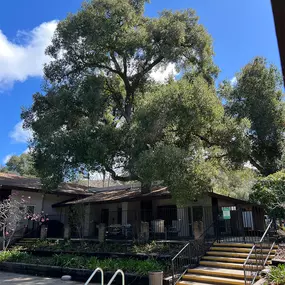 Bild von Greene Tree Care - Trimming, Removal, Residential & Commercial Service