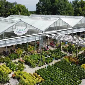 Bild von King's Gardens