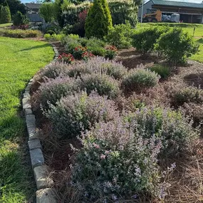 Bild von King's Gardens