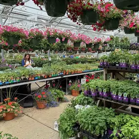 Bild von King's Gardens