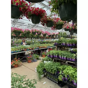 Bild von King's Gardens