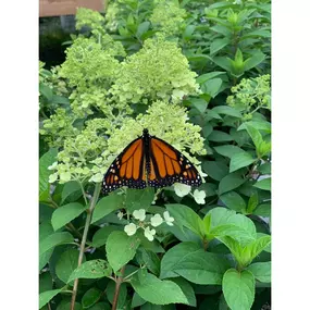 Bild von King's Gardens