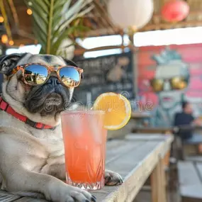 Bild von Crate Escapes Dog Park + Bar