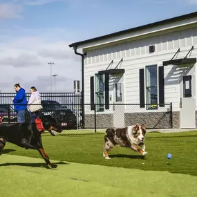 Bild von Crate Escapes Dog Park + Bar