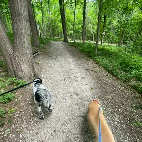 Bild von Crate Escapes Dog Park + Bar