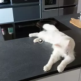 Bild von Aliev- Umzug & Transportservice