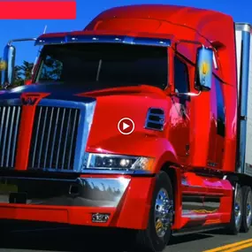 Bild von Aliev- Umzug & Transportservice