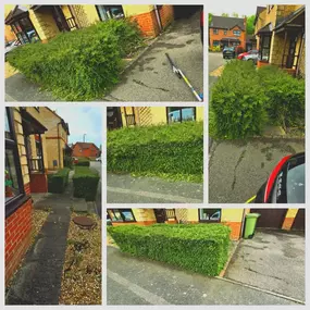 Bild von HH Gardening & Maintenance Ltd