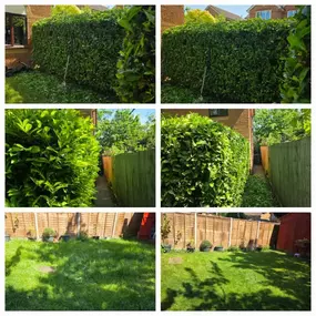 Bild von HH Gardening & Maintenance Ltd