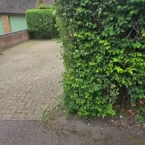 Bild von HH Gardening & Maintenance Ltd