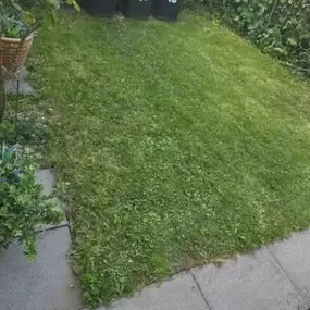 Bild von HH Gardening & Maintenance Ltd