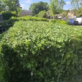 Bild von HH Gardening & Maintenance Ltd