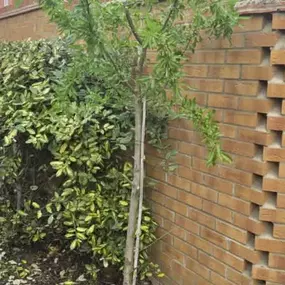Bild von HH Gardening & Maintenance Ltd