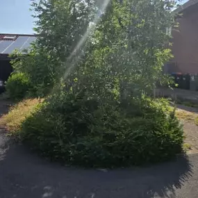 Bild von HH Gardening & Maintenance Ltd