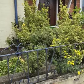 Bild von HH Gardening & Maintenance Ltd